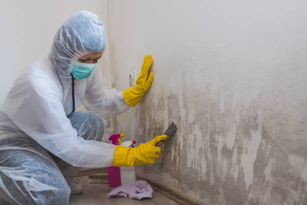 Best Residential Mold Removal  in Villas, NJ