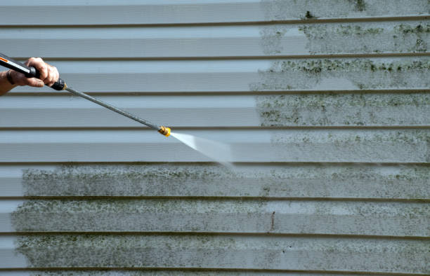 Best Toxic Mold Removal  in Villas, NJ