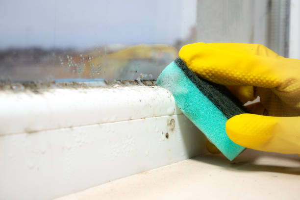 Best Emergency Mold Removal  in Villas, NJ