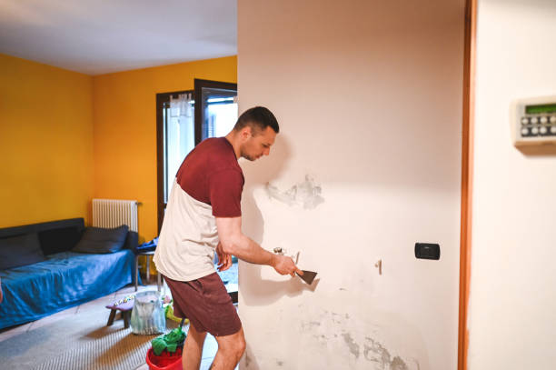 Best Mold Removal Near Me  in Villas, NJ