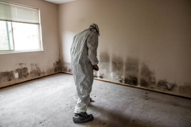 Best Commercial Mold Removal  in Villas, NJ