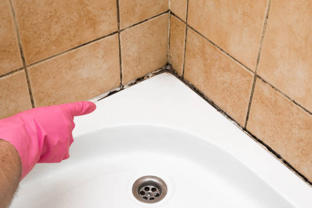 Best Mold Inspection  in Villas, NJ